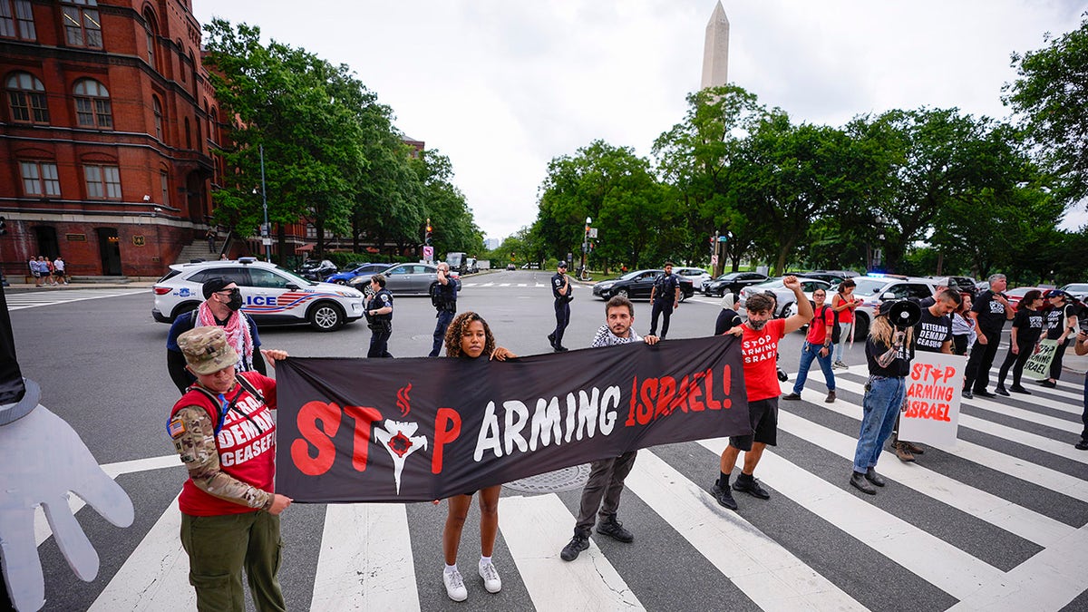 Line of anti-Israel demonstrators in DC street