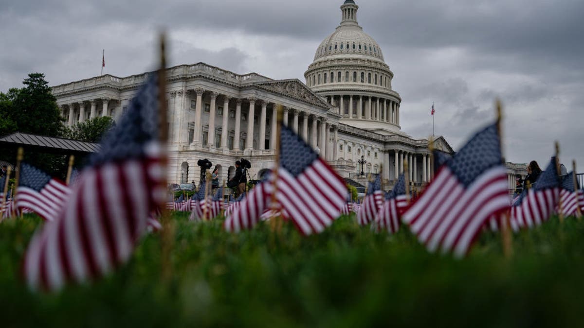 Flags are seen outside the U.S. Capitol