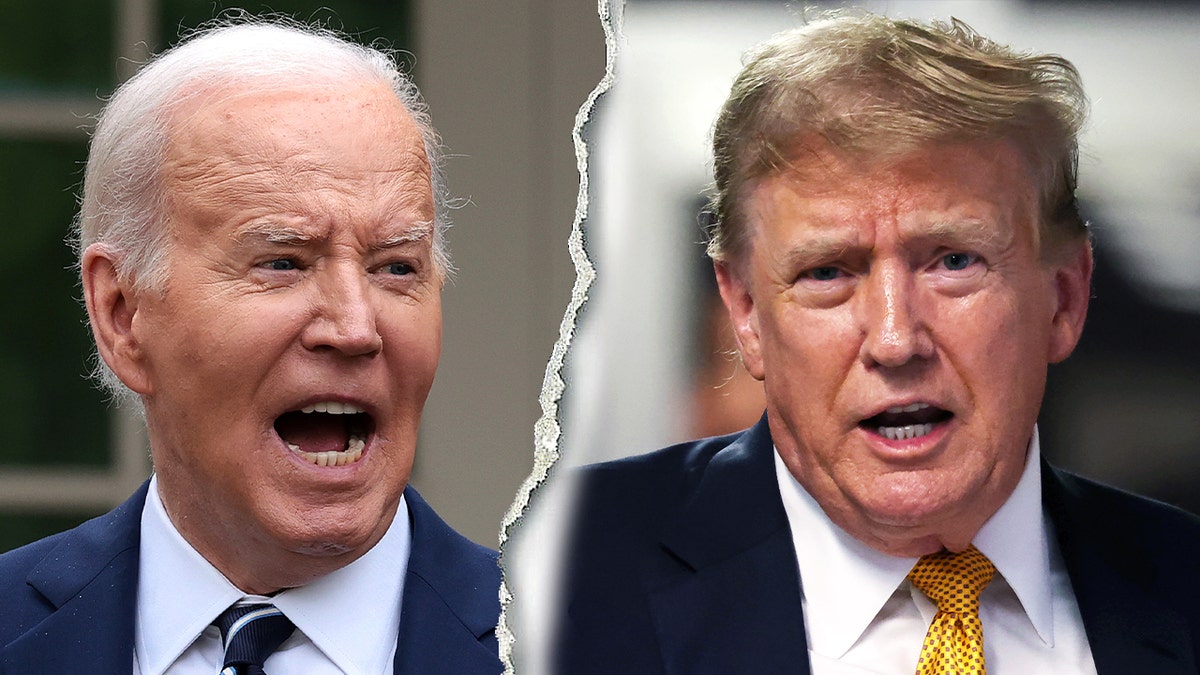 Biden/Trump photo split