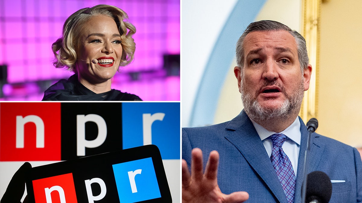 Katherine Maher, Ted Cruz