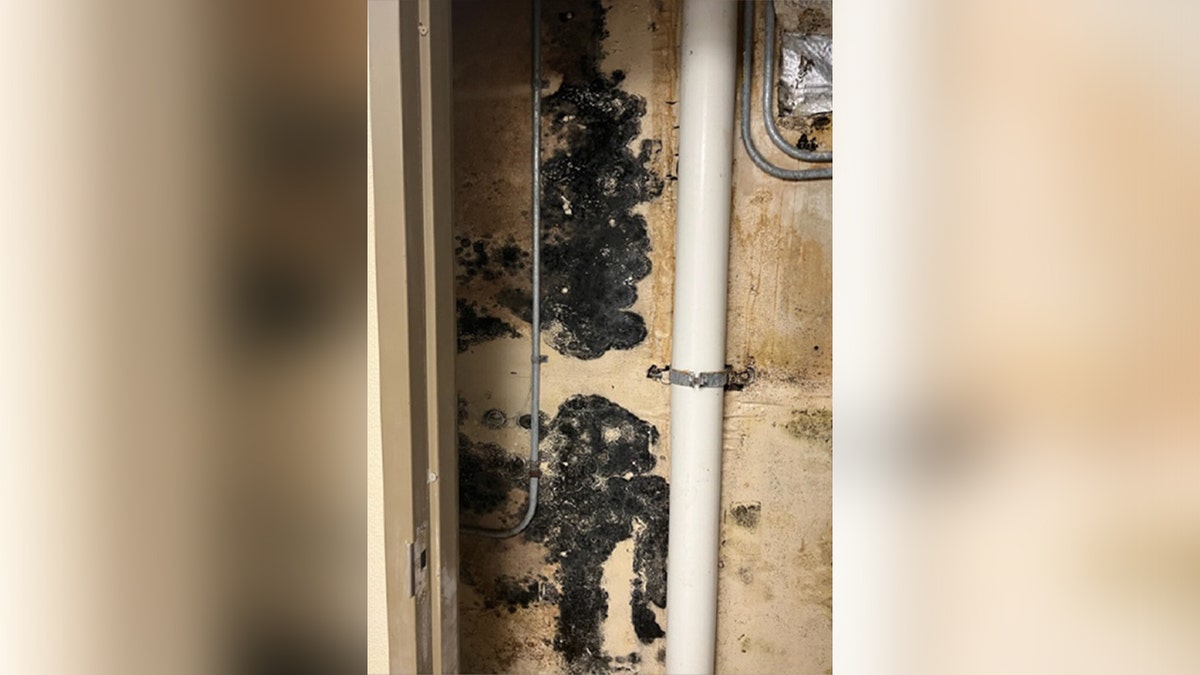 mold in barracks