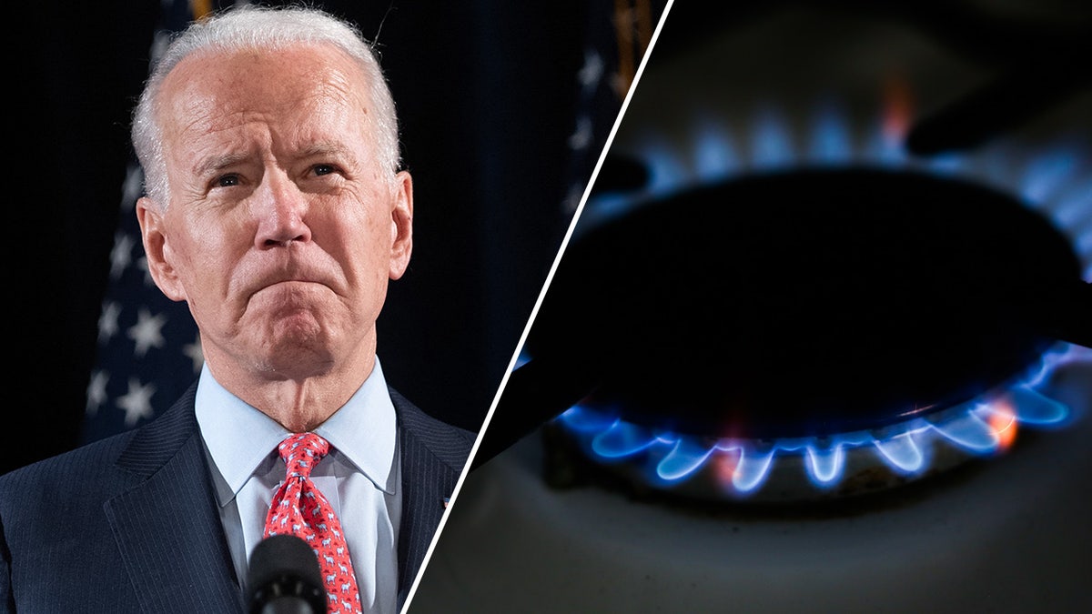 President Biden/Stove