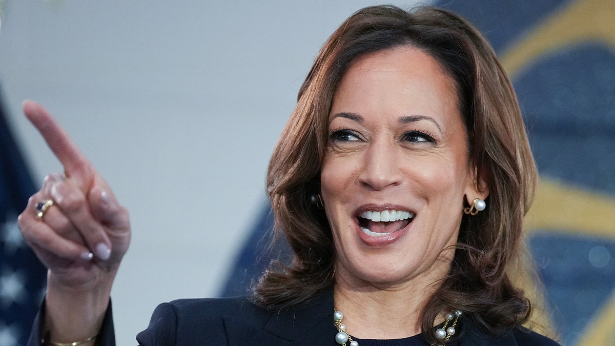 WAYNE, MICHIGAN - AUGUST 08: Democratic presidential candidate U.S. Vice President Kamala Harris speaks at a campaign rally at United Auto Workers Local 900 on August 8, 2024 in Wayne, Michigan. 