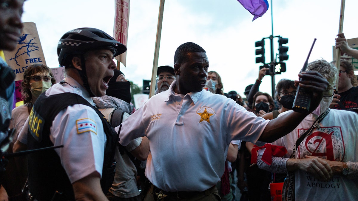 Police clash with anti-Israel agitators marching in downtown Chicago ahead of the DNC on Aug. 18, 2024 in Chicago, Ill.