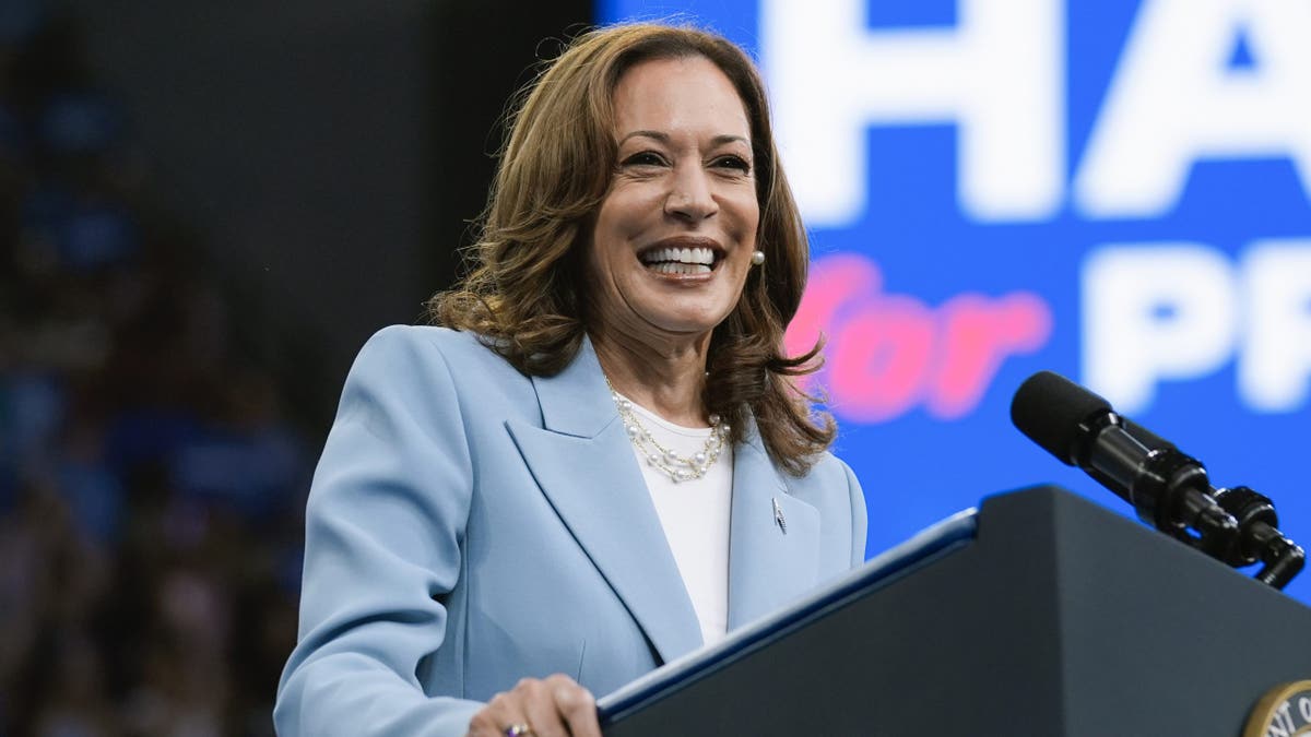 Over 10,000 at a Kamala Harris rally in Atlanta, Georgia