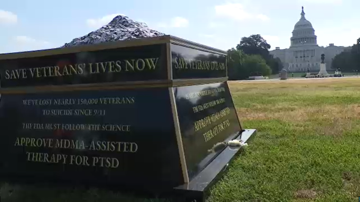 dog tag memorial display on Mall with Capitol in background