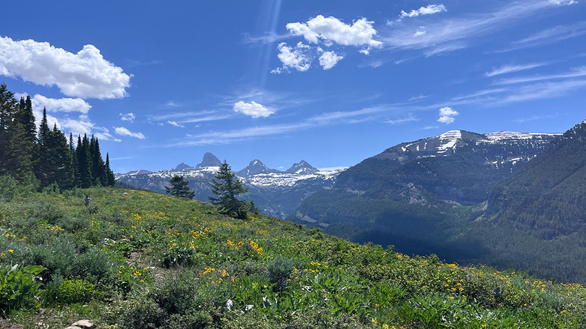 Caribou-Targhee National Forest