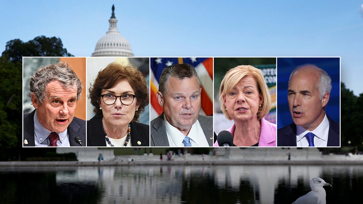 Sherrod Brown, Jacky Rosen, Jon Tester, Tammy Baldwin, Bob Casey