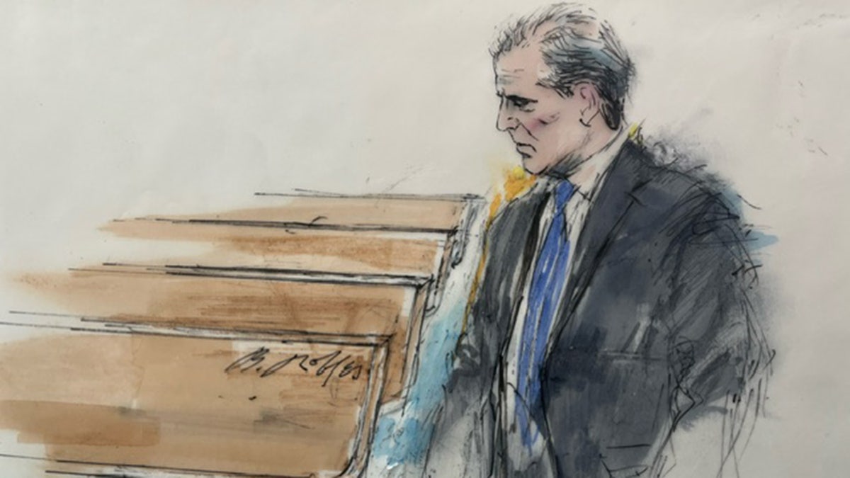 Hunter Biden in courtroom sketch