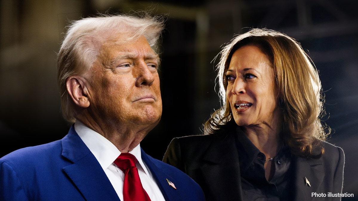 Trump, Harris photo illustration