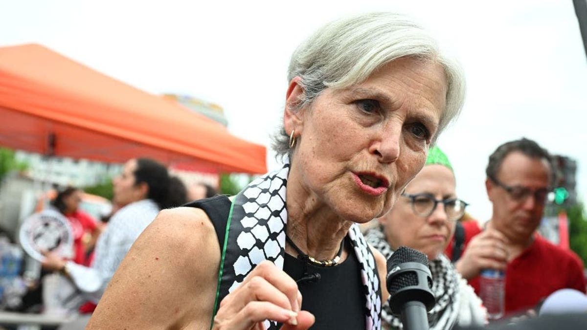 Jill Stein at a protest during a joint meeting of Congress with Israeli Prime Minister Benjamin Netanyahu.