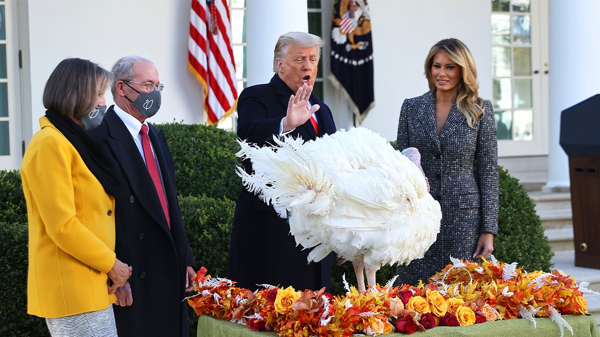 First lady Melania Trump looks on as President Trump gives the National Thanksgiving Turkey "Corn" a presidential pardon during the traditional event in the Rose Garden of the White House on Nov. 24, 2020.