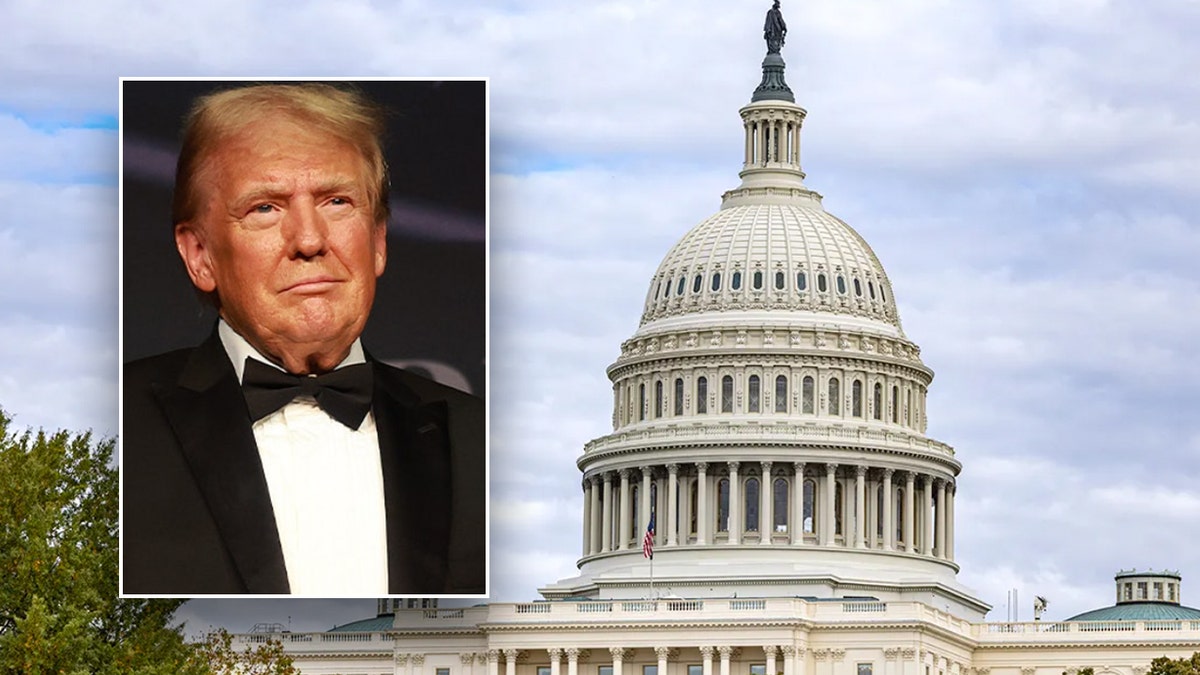 President-elect Donald Trump is pictured in front of the U.S. Capitol