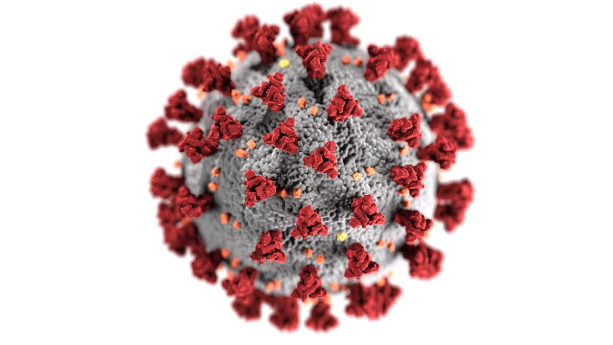 Coronavirus molecule, March 24, 2020. 