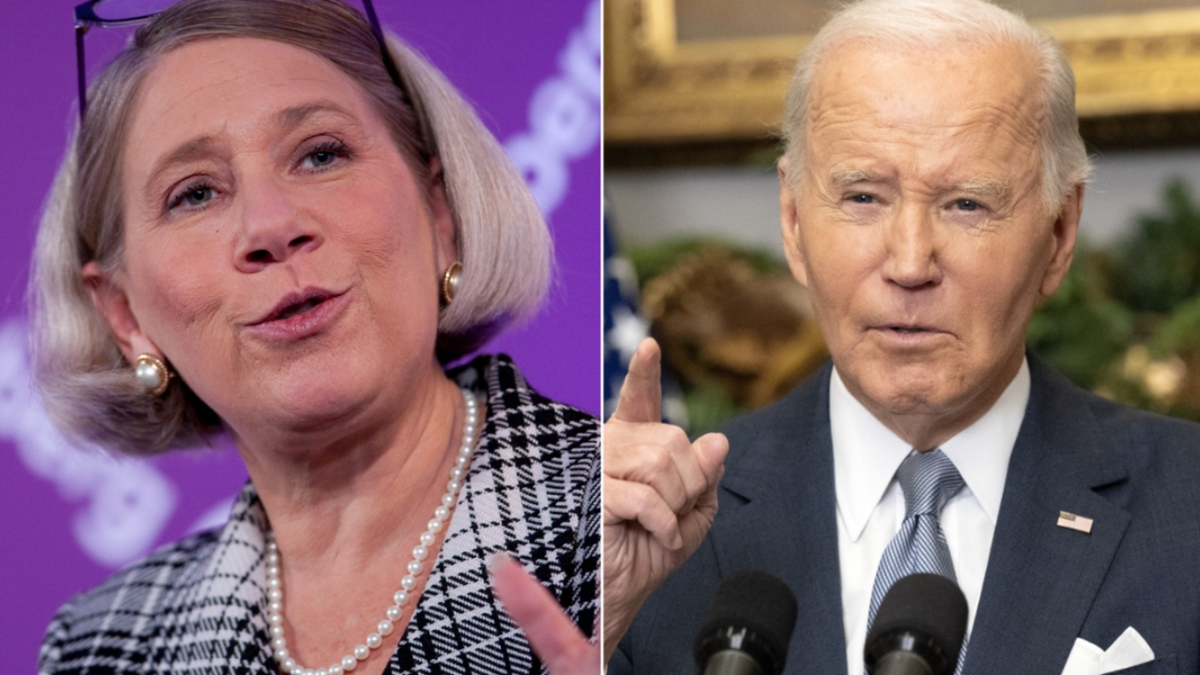 Anita Dunn Biden split