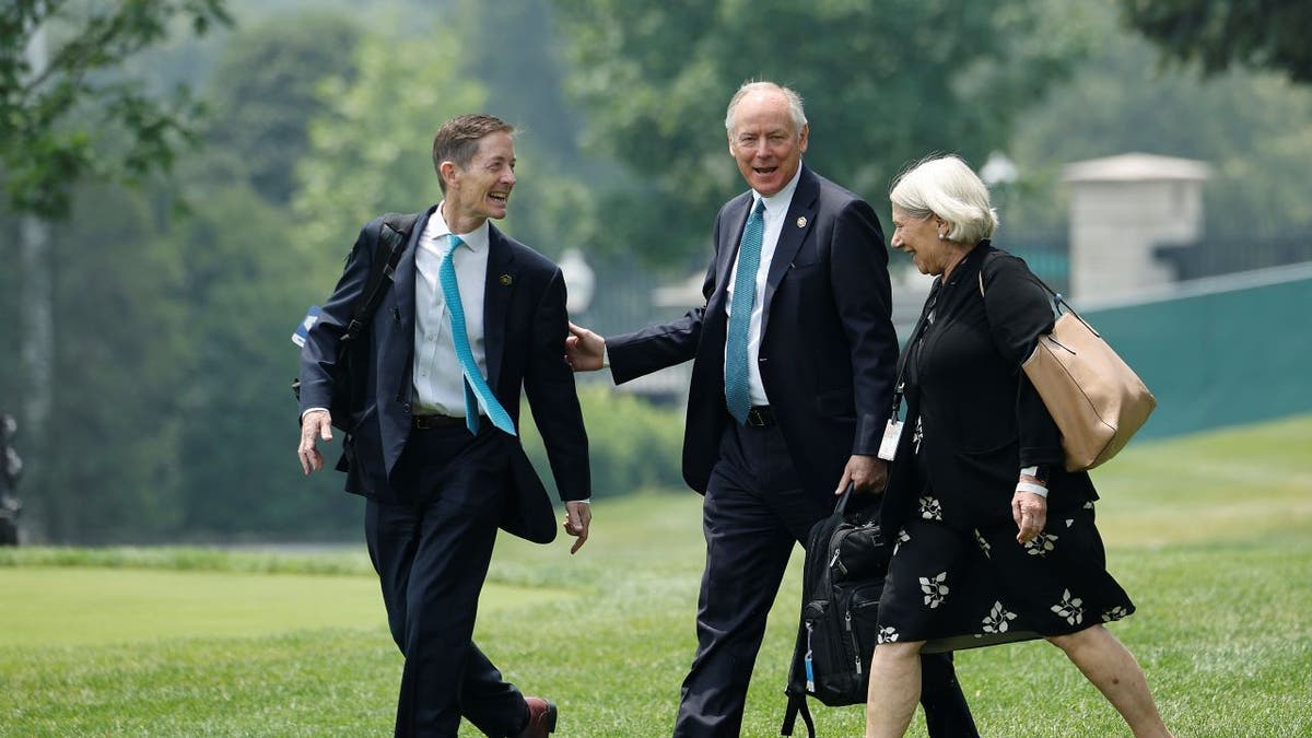 Anita Dunn on WH lawn