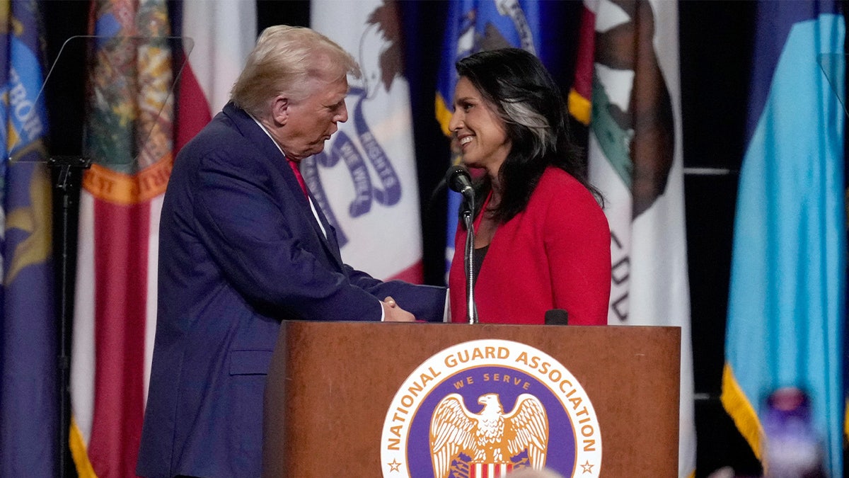 gabbard trump