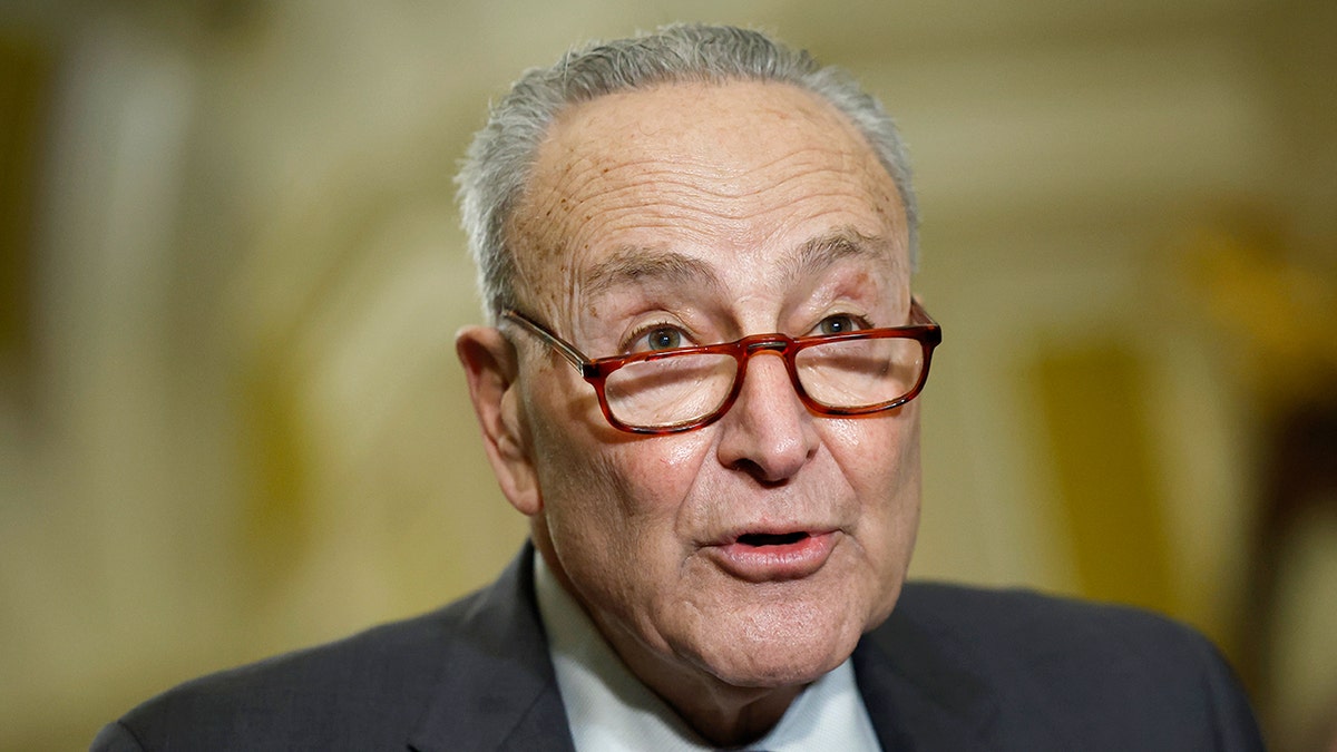 chuck schumer closeup shot