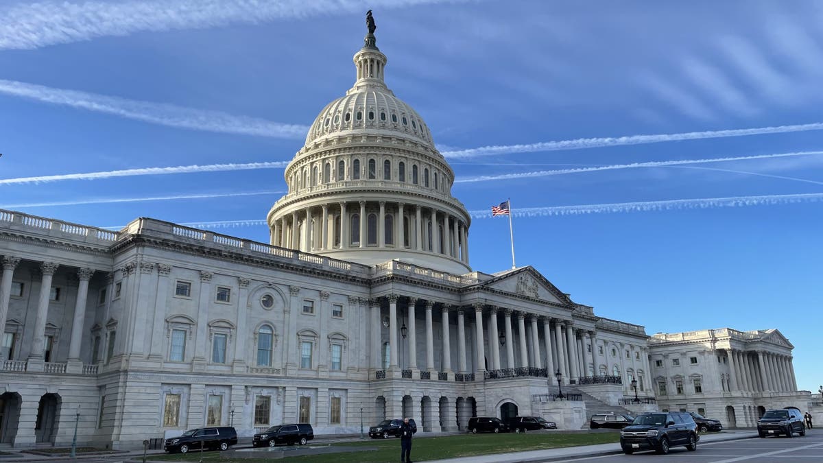 U.S. Capitol, Washington D.C. 