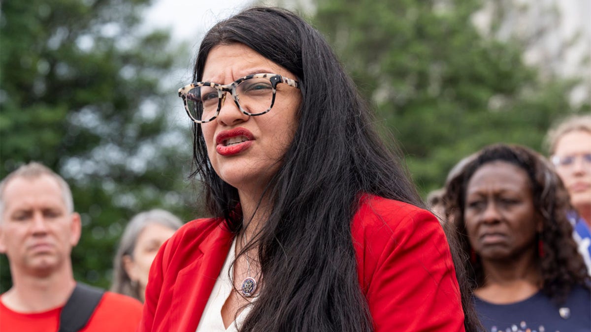 Rep. Tlaib speaking to activists