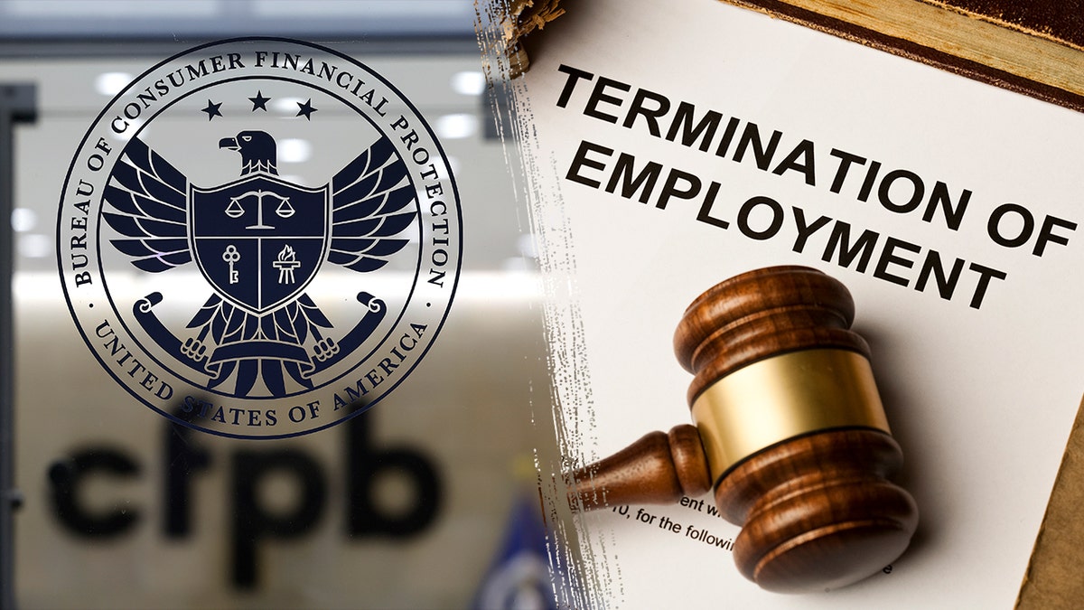 CFPB terminations