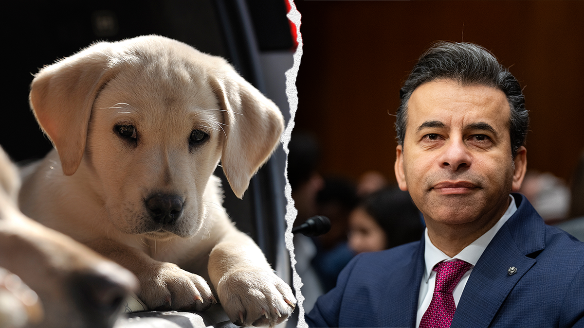 FDA Commisioner Makary and a puppy