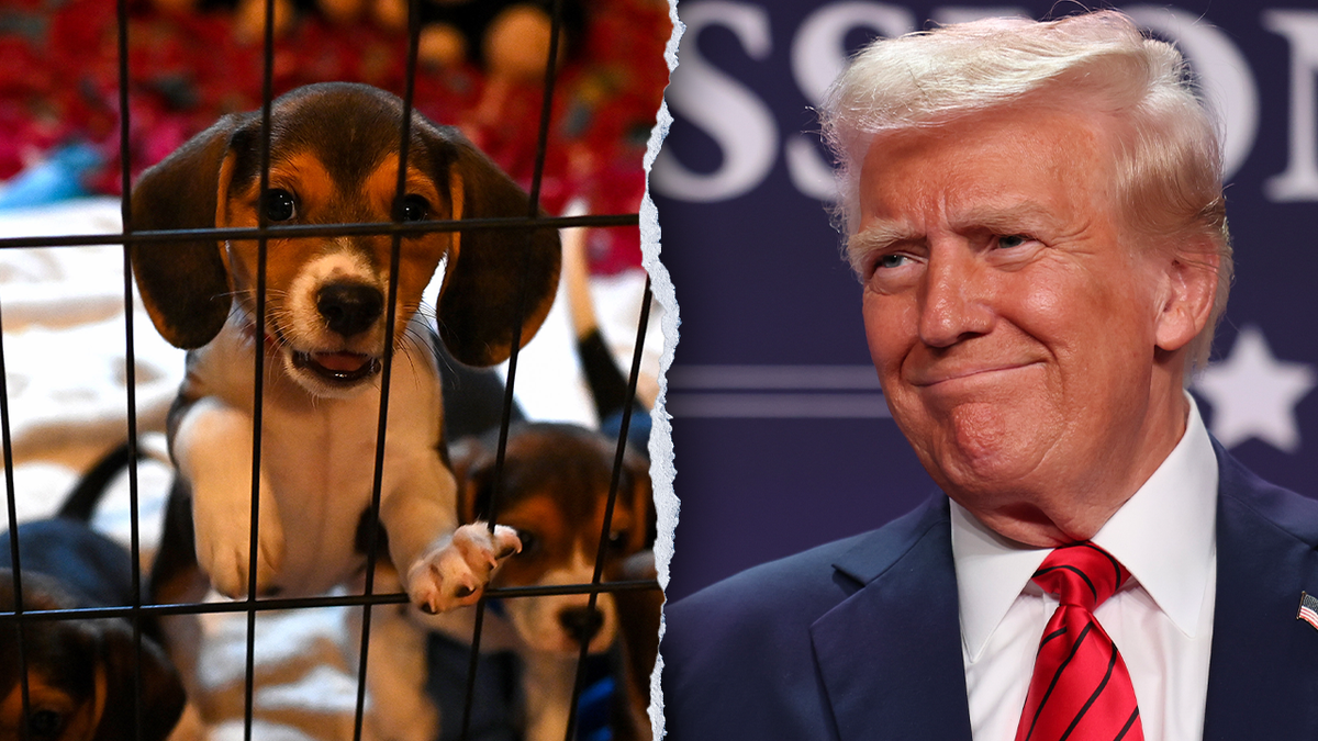 Trump and puppy