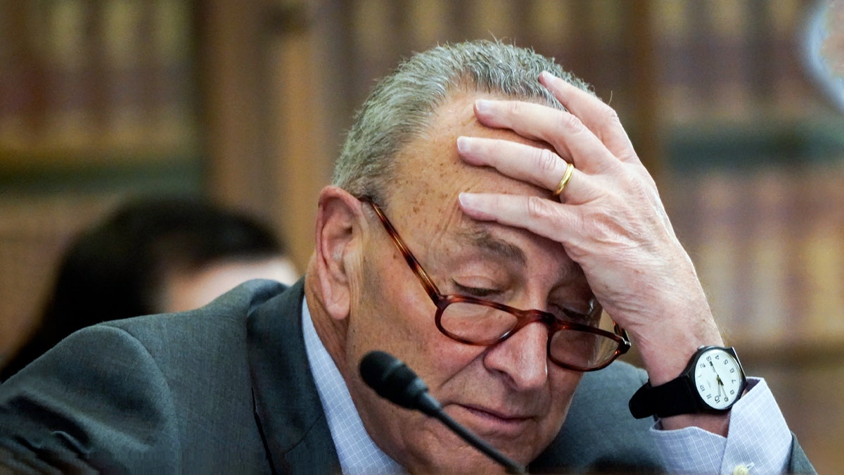 Chuck Schumer head in hands closeup shot