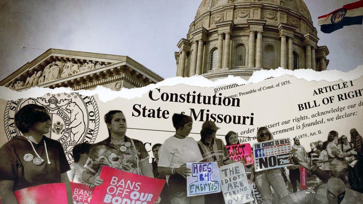 Image showing people holding signs and Missouri state constitution