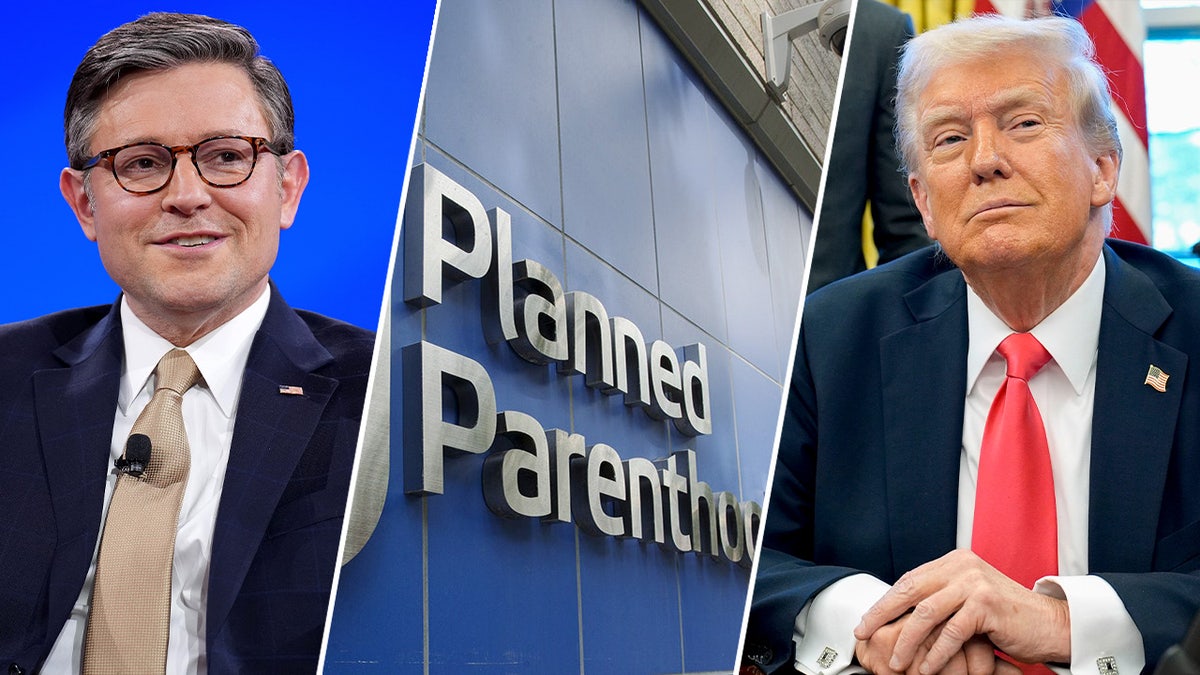 Mike Johnson, Donald Trump