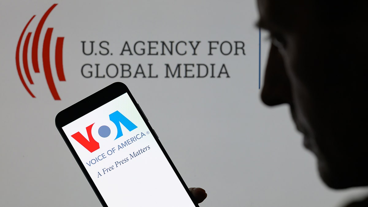 The Voice Of America logi