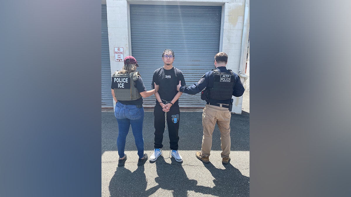 Saravia Santamaria ICE