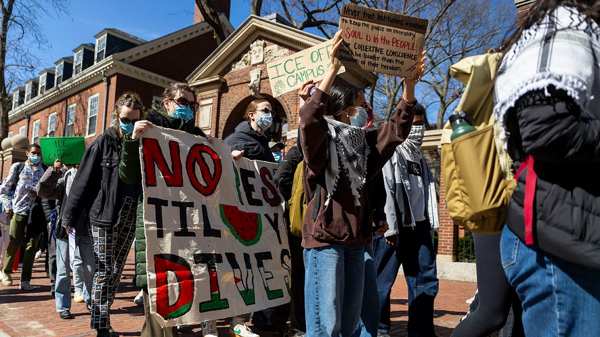 Anti-Israel protest at Harvard