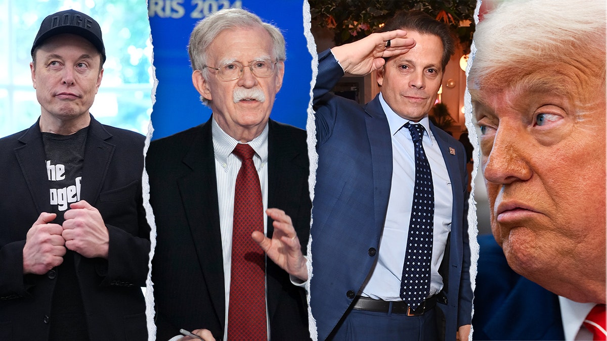 Trump, Musk, Bolton and Scaramucci in mashup