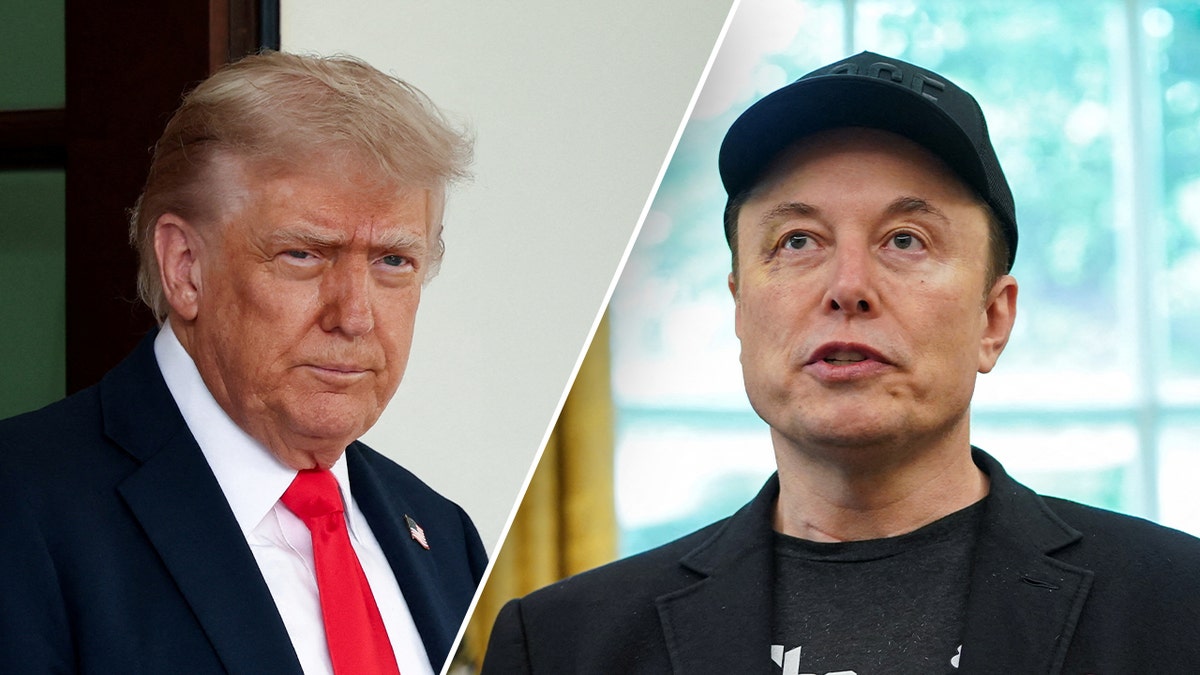 President Donald Trump; Elon Musk in left-right split