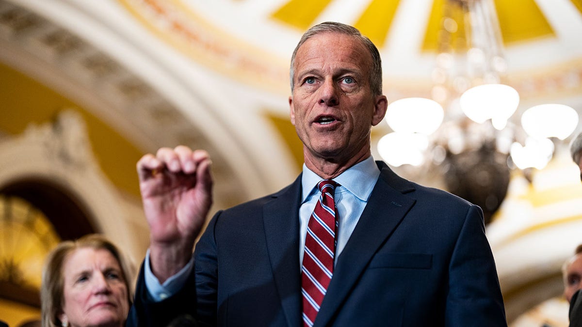 Senate Majority Leader John Thune, R-S.D., speaks to media at Capitol