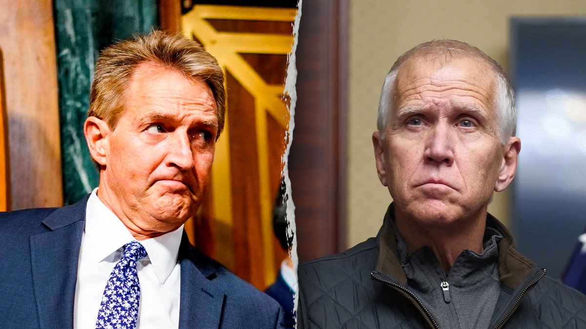 Flake/Tillis split