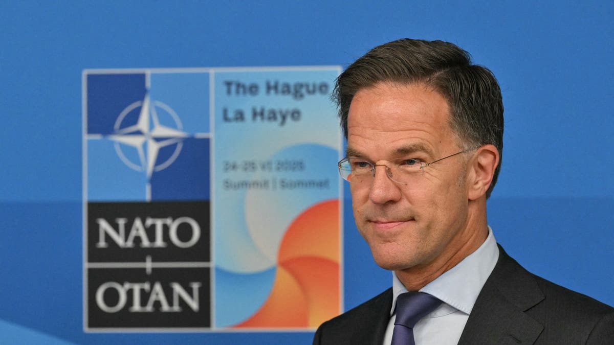 NATO Secretary General Mark Rutte looks on during a join statement.