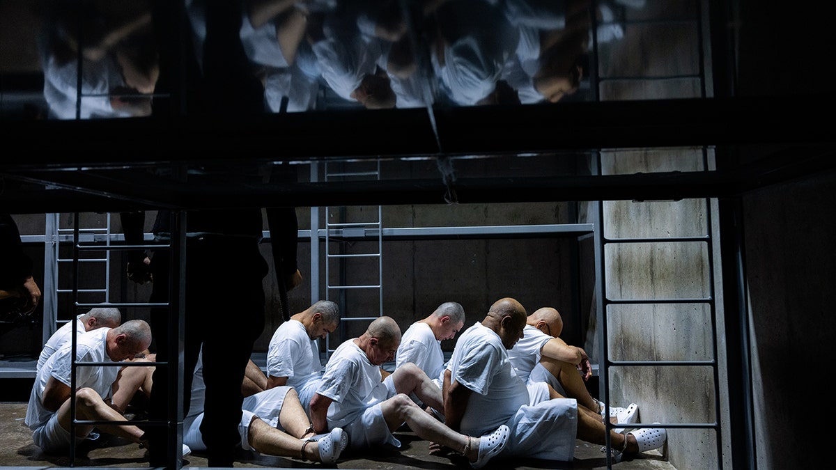 Detained members of the Tren de Aragua or TdA gang