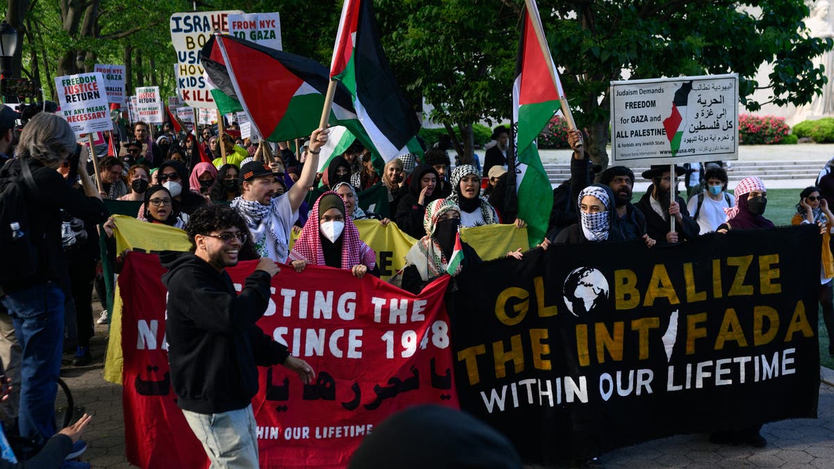 Pro-Palestinian protesters