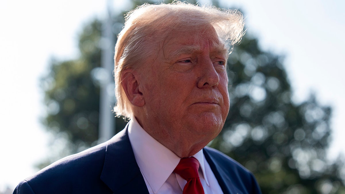 Donald Trump speaks to press