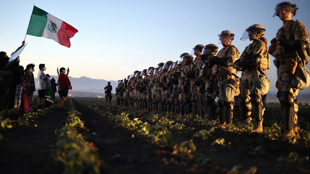 National Guard troops block protesters from an ICE raid at a nearby cannabis farm in California.