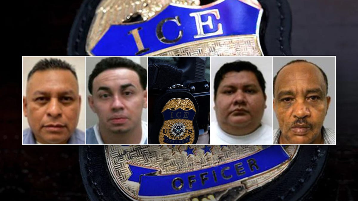 Four illegal immigrants arrested for various crimes