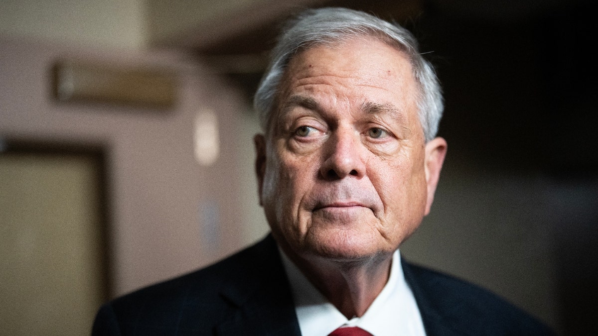 Rep. Ralph Norman said border czar Tom Homan has "done a tremendous job."