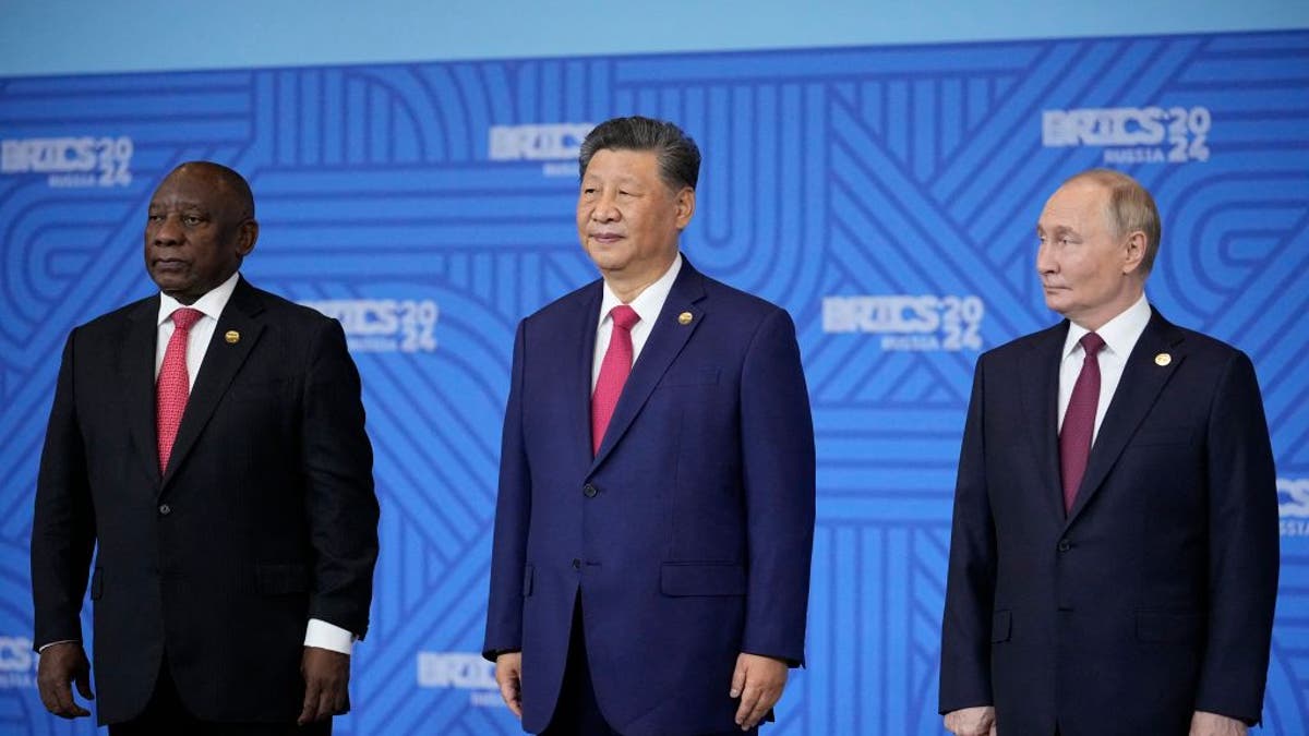 World leaders pose at BRICS Summit last year. 