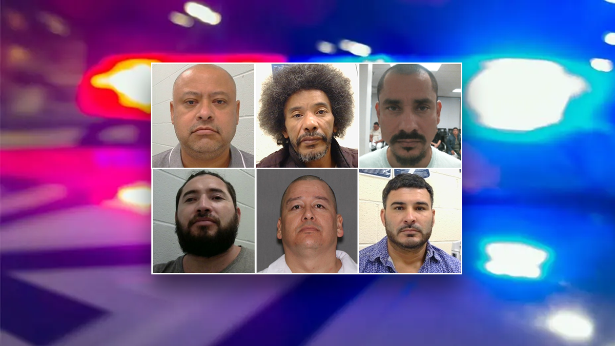 Six illegal aliens arrested by ICE seen in mugshots here