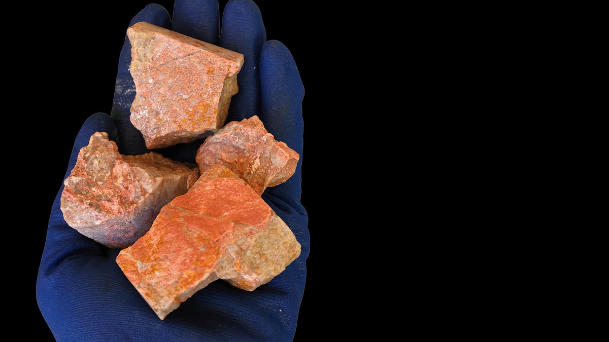 Xenotime rare earth elements ore held in hand, blue protective glove. Black background.