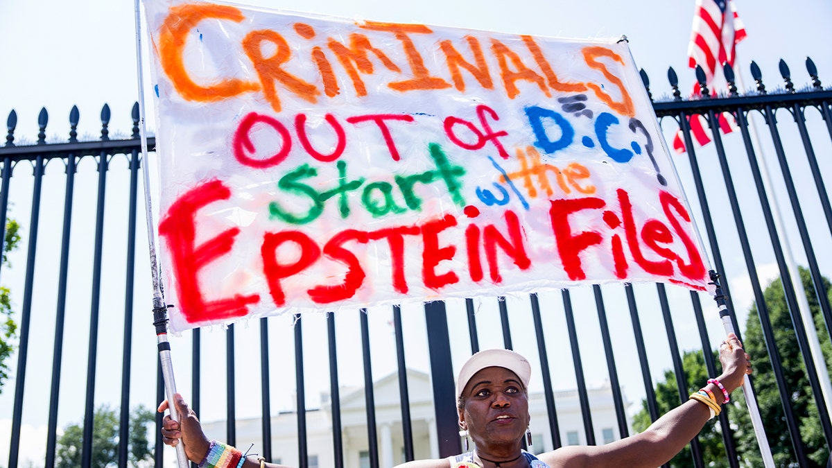 Protester holds a sign about the Epstein files in front of the White House