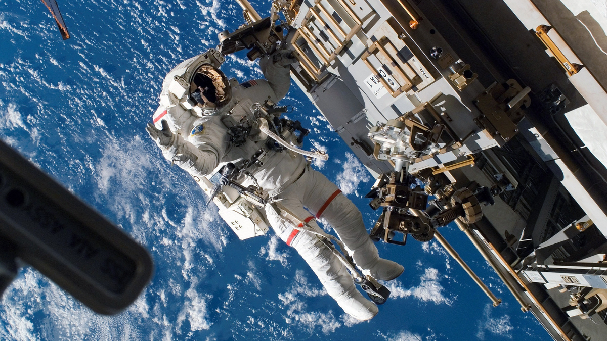 In this handout photo provided by NASA, Astronaut Rick Mastracchio, STS-118 mission specialist, participates in the mission's third planned session of extravehicular activity (EVA) as construction and maintenance continue on the International Space Station August 15, 2007 in Space.