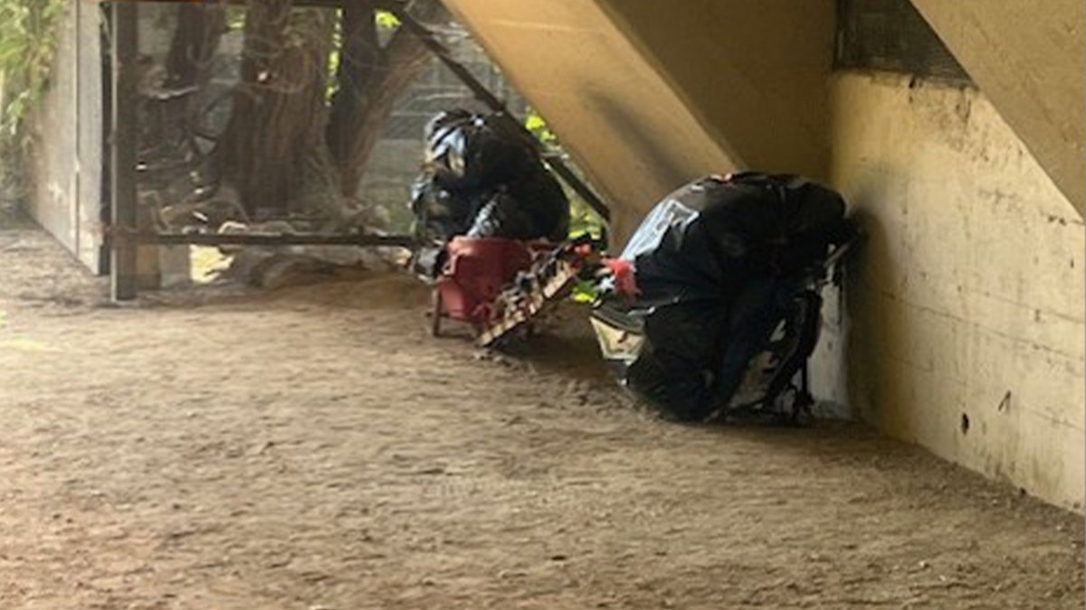 Where tents were once pitched there are now only trashbags, under the Key Bridge that connects Arlington, Va., with Georgetown, Washington, D.C. 